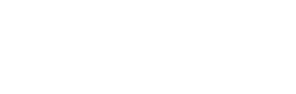 Nurse Co-Pilot